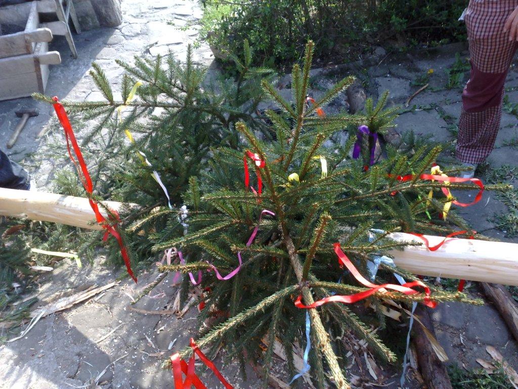 02052009710.jpg